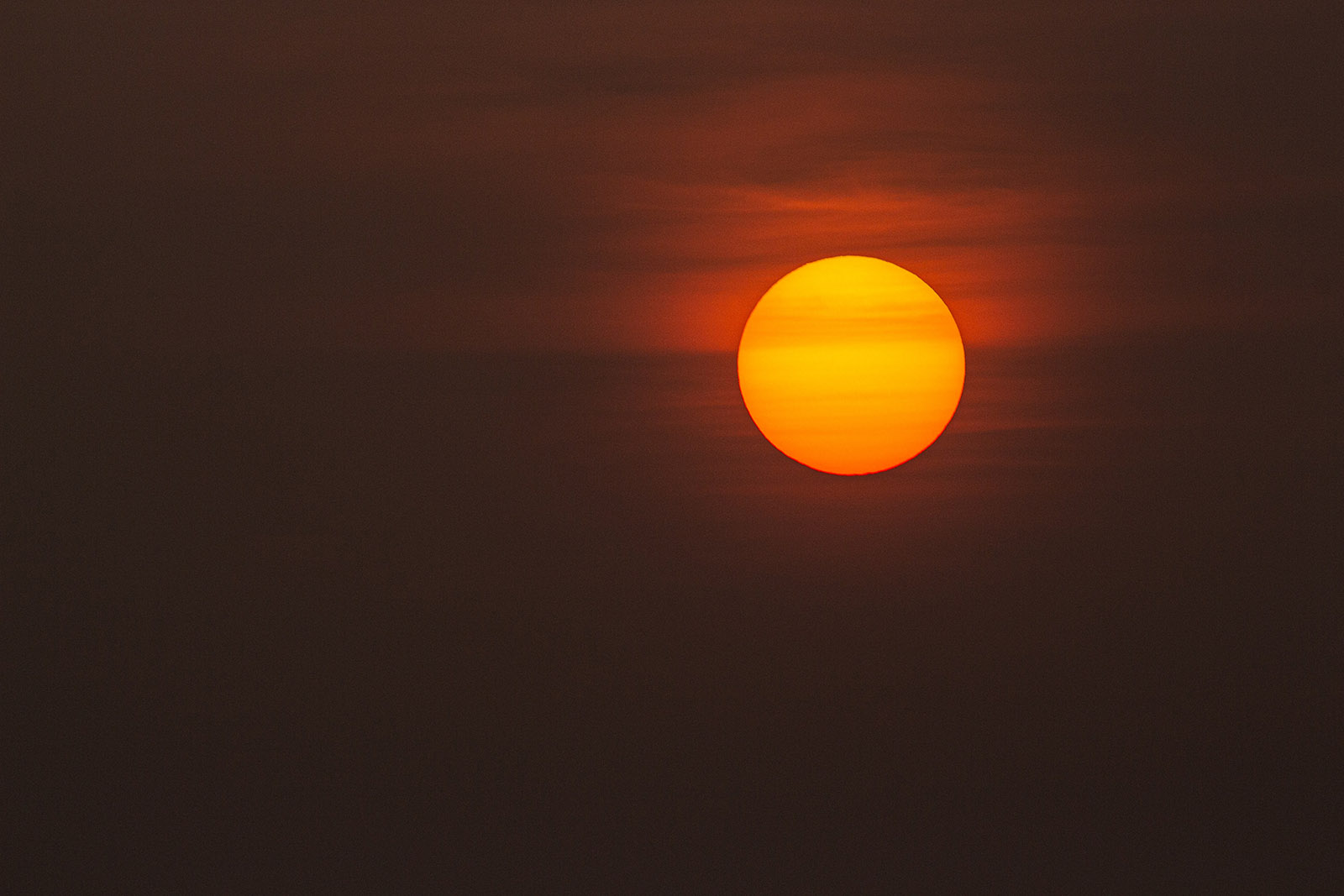 Sunvibes